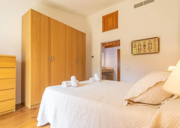 L'esplai Willa Pollensa